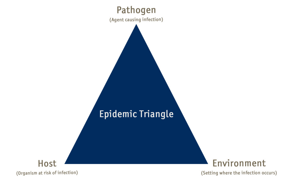 epidemiology triangle